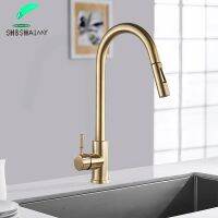 SHBSHAIMY Nickle Gold ก๊อกน้ำห้องครัวสแตนเลสดึงลง Stream Sprayer Deck Mount Water Sink Taps สีดำแปรง