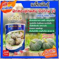 โปรสุดคุ้ม ****เมล็ดพันธุ์ฟักทองบึงกาฬ21 ขนาด 100g. ตราเจียไต๋ (pumpkin) ปลูกง่าย ติดผลดก เนื้อสีเหลือง เนื้อแน่น เนื้อหนา Very Hot