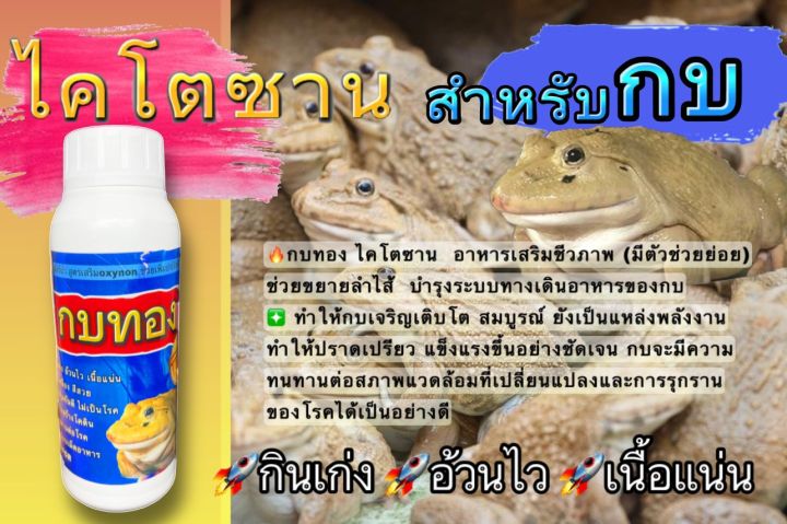 ไคโตซาน-สำหรับเลี้ยงกบ-กบทอง-อ้วนไว-กินเก่ง-เร่งโต-เสริมวิตามินซี