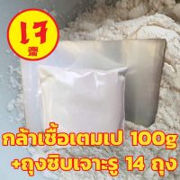 ?สินค้าขายดี? [เชื้อ 100g +14ถุง]กล้าเชื้อเตมเป 500G หัวเชื้อเทมเป้ เชื้อใหม่เก็บได้ 2 ปี (เพาะเชื้อในห้องLABในไทย จึงได้เชื้อคุณภาพดี เหมาะสมเพาะง่าย)