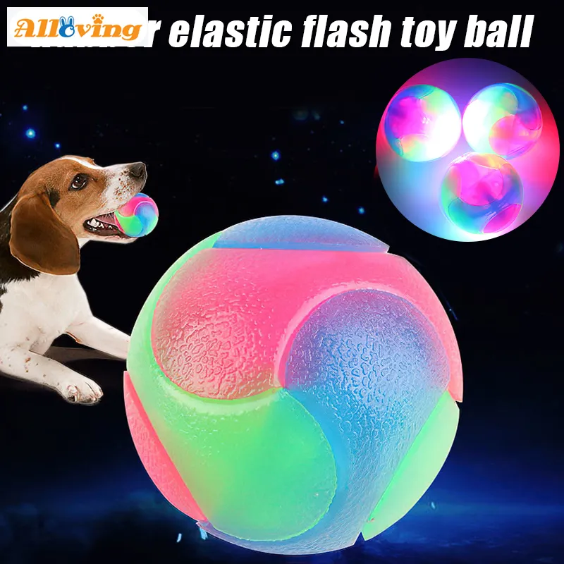 led bouncing dog toy