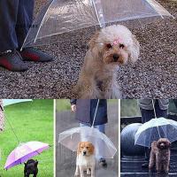 【hot sale】 ◑ B53 CT♥Dog Walking Waterproof Clear Cover Built-in Leash Rain Sleet Snow Pet Umbrella