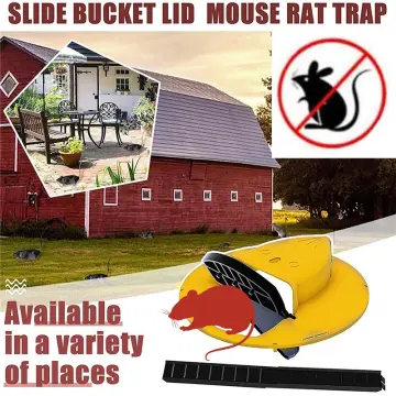 Mouse Traps Large Rat Traps Indoor Set of 24, 18 Reusable Mouse Traps and 6 Glue Traps Mouse Traps Indoor for Home Powerful Traps for The House - 24