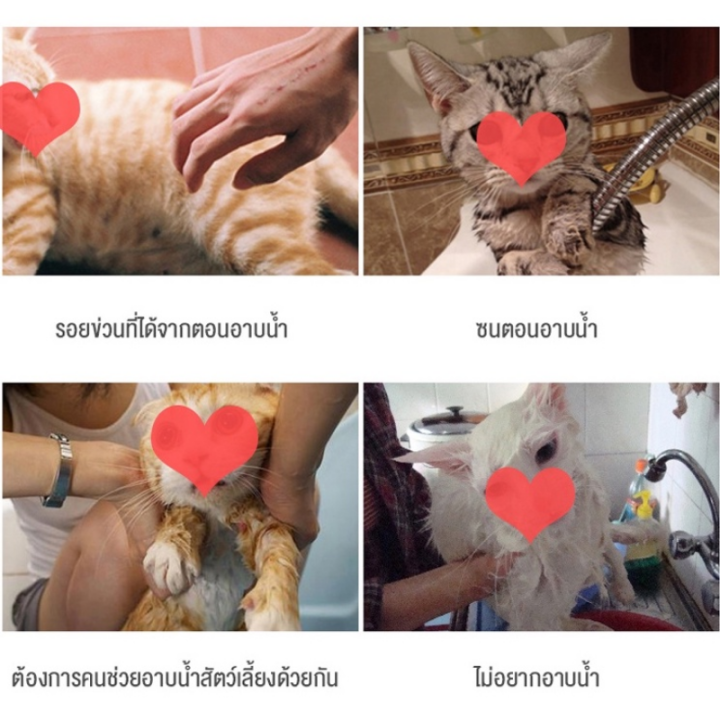 ewyn-ถุงอาบน้ำแมว-ถุงกันข่วน-ป้องกันแมวข่วน-ถุงตะข่ายอาบน้ำแมว-ตัดเล็บแมว-ฉีดยา-แคะหูแมว-อเนกประสงค์