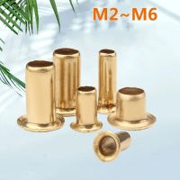 【❉HOT SALE❉】 chenyoufang Tubular Rivets M2 M2.3 M2.5 M3 M3.5 M4 M5 M6 Tubular Rivets Double-Sided Circuit Board Pcb เล็บทองแดง Hollow Rivet Nuts Gb876