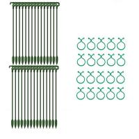 Plant Support Stakes Single Stem Flower Circle Stakes with Clips Plant Poles to Keep Straight Orchid Stakes Supports for Peony Rose Vegetable Tomato Lily Orchid efficiently