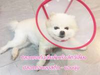 ปลอกคอกันเลีย Pet Collar  ปลอกคอลำโพงกันเลียสำหรับสัตว์เลี้ยง size M