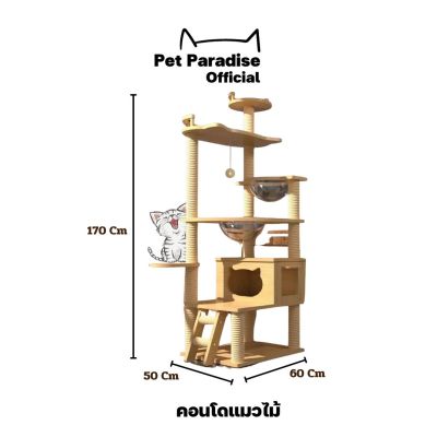 PetParadise.th คอนโดแมวไม้ กรอบปีนแมว บ้านเเมวไม้ ที่นอนหลุม2 เฟอร์นิเจอร์สัตว์เลี้ยง