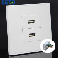 SeTo 86 Type Double Ports USB Assorted Panel Wall Plate Socket Keystone Faceplate