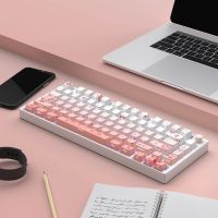 Double Shot Pbt Keycaps 134 Key Sakura Custom Keycap ชุด Dye Sub Side-Lit Backlight Keycap สำหรับ MX Switch แป้นพิมพ์เครื่องกล Cap