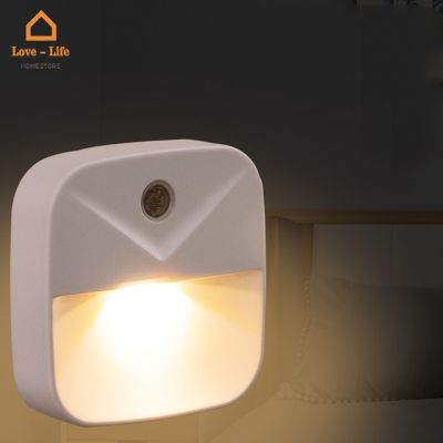 Portable Wireless Light-induction LED Eye Protection Sleeping Lamp/ Bedroom Bedside Corridor Stairway Multipurpose Plug Night Light