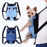 ✳ Pet Carriers Small Dog Cat Outdoor Travel Carrier Pet Backpacks Small Dogs - Pet - Aliexpress