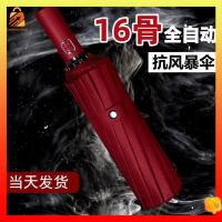 【hot sale】 ♠✿♚ B53 umbrela folding automatic folded umbrella 16 Bone Automatic Umbrella Female Umbrella Women Yew and End with Sun Umbrella Sunshine Sunshine UV Umbrella Mens Large Folding Umbrella