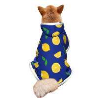 Cute Pet Costume With Fresh Lemons And Leaves In Dark Blue Winter Cloak With Hooded Autumn Pet Wear Dog Winter With Hat