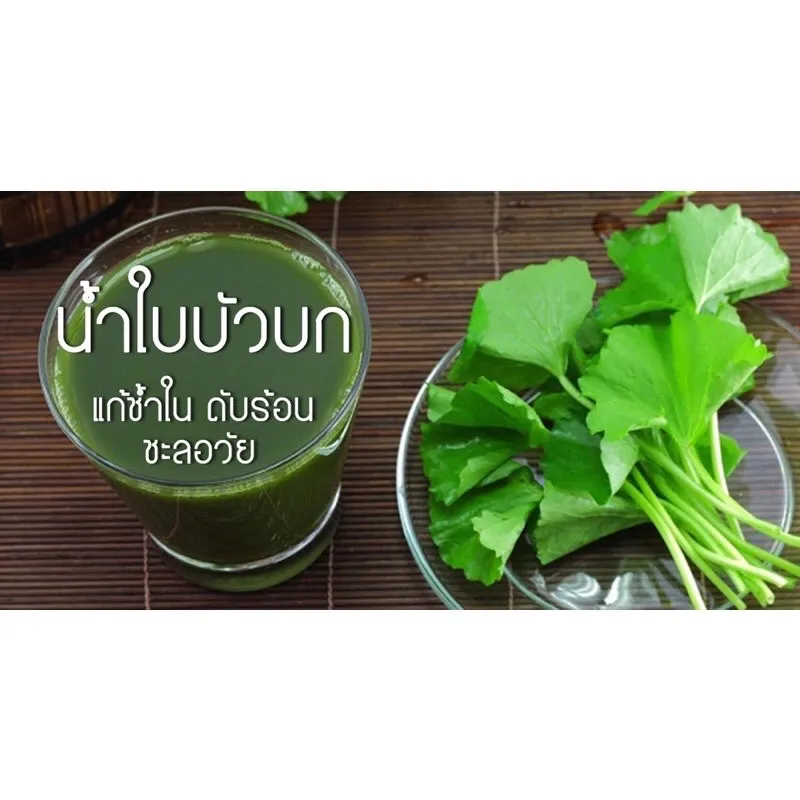 Centella Asiatica Powder 50 g ผงใบบัวบก ขนาด 50 กรัม | Lazada.co.th