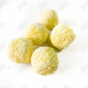 200G Sứ Bi Vàng Sứ Tròn Lọc Nước Bể Cá Cảnh
