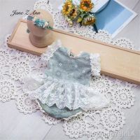 ✱∋ Fotografia recém-nascido vestido floral conjunto novo retro cinza-verde renda mês inteiro dias do bebê foto estúdio adereços