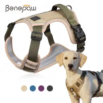 Dog hotsell harness lazada