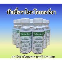 หัวเชื้อราไตรโคเดอร์มา สินค้า ม.เกษตรศาสตร์ กำแพงแสน (ขยายเชื้อได้)