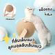 [จัดส่งเร็วจากไทย 🚚] ลูกบอลลับเล็บแมว ที่ฝนเล็บแมว ที่ลับเล็บแมว ของเล่นสัตว์เลี้ยง 🐾