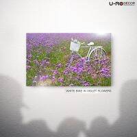 U-RO DECOR รุ่น WHITE BIKE ภาพพิมพ์จักรยานขาว ดอกไม้ม่วง VIOLET FLOWERS 80 x 50 ซม.