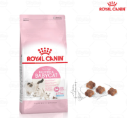 ROYAL CANIN MOTHER & BABYCAT TÚI 4kg