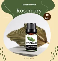 Essential oil 10ml น้ำมันหอมระเหย โรสแมรี่ น้ำมันอโรม่า น้ำมันหอมสปา Aroma oil สารสกัดจากธรรมชาติ กลิ่นหอม เสริมสร้างความจำ ปรับสมดุล พร้อมส่ง