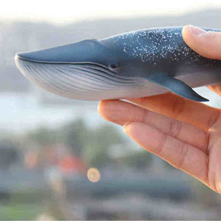 12pcs-kids-toys-plastic-sea-animals-ocean-shark-dolphin-whale-model-figures-gift