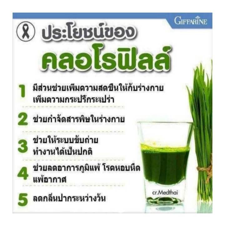 กิฟฟารีน-คลอโรฟิลล์-พลัส-แถม-แก้วเชค-d-toc-chlorophyll-plus-สุดยอด-giffarine