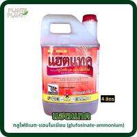 แฮตแทค (4 ลิตร), กลูโฟซิเนต-แอมโมเนียม (glufosinate-ammonium)สารกำจัดวัชพืชใบแคบและใบกว้าง