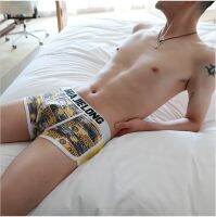 [COD] New style mens underwear student mid-waist boxer sexy popular Korean trousers HC5817