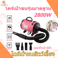 ไดร์เป่าน้ำสัตว์เลี้ย ไดร์ไดร์เป่าขนหมา 2800W ไดร์เป่าขนสัตว์ ไดร์ขนหมา เสียงเบา มีประกัน เครื่องเป่าขน มี5สี