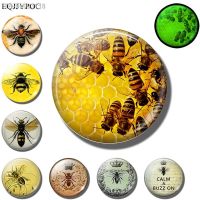 ☞❧ Glowing Bee Fridge Magnet Luminous Honeybee Mosquito Insect Animal Glass Refrigerator Magnets Stickers Message Board Home Decor