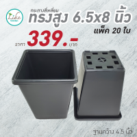 กระถางสี่เหลี่ยมทรงสูง 6.5 x 8 นิ้ว แพ็ค 20 ใบ สีดำ กระถางพลาสติก กระถางปลูกต้นไม้ กระถางปลูกแคคตัส กระถางราคาถูก กระถางปลูกตอกราฟแคคตัส