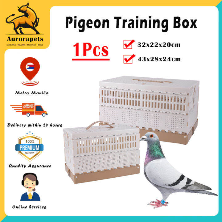 Foldable Taiwan Training Box for Pigeon with 10Pcs PHA Pigeon Ring 2023
