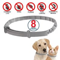 【cw】 Dog Anti Flea And Ticks Deworming Collar 8Month Protection Adjustable Collars Accessories