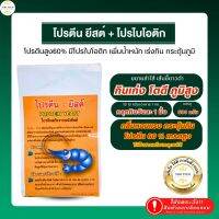 โปรตีนยีสต์ [โปรตีนสูง 60%+โพรไบโอติก ] มีกลิ่นคาวหอม กระตุ้นกิน กินจุ เร่งโตไว เร่งไซส ใช้แล้วน้ำไม่เสีย ปลอดภัย100%