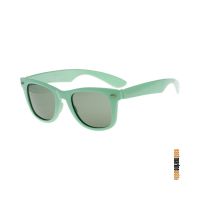 Barz Optics Wavefarer Gloss Green แว่นกันแดดโพลาไรซ์