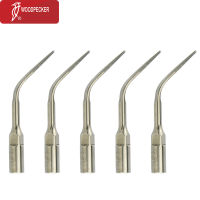 Original Woodpecker ทันตกรรม Ultrasonic Scaler Scaling Tips G3สำหรับ EMS UDS