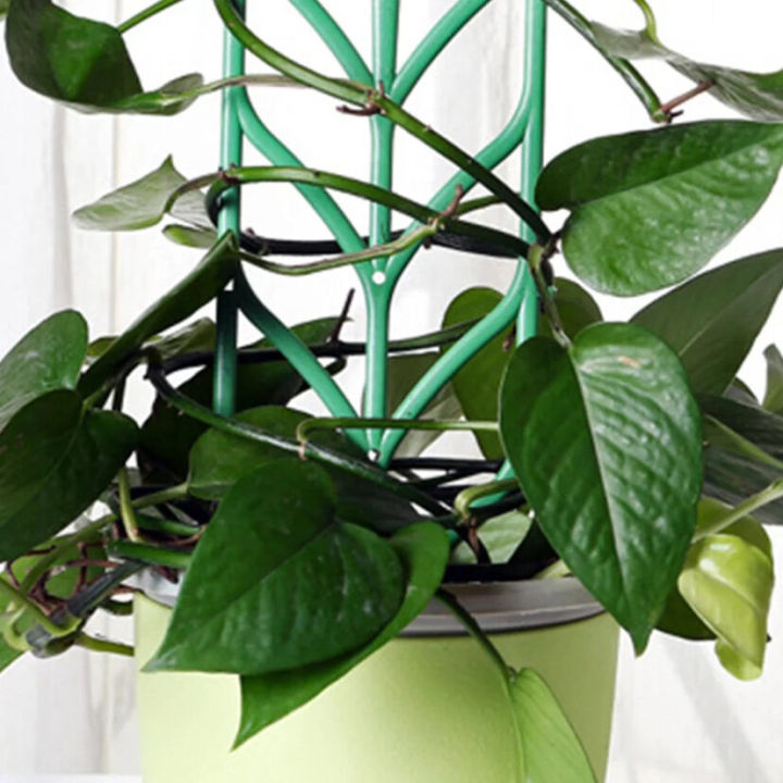 3-pcs-diy-mini-trellis-กรอบประดิษฐ์ปีนเขาที่แขวนดอกไม้ตกแต่งเค้กเครื่องมือทำสวนขาตั้งสนับสนุนโรงงานโครงรองรับ-preservation