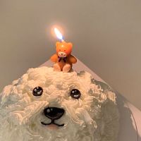 เทียนวันเกิดรูปหมีน้ำตาล? เทียนวันเกิดเกาหลี พร้อมส่ง
