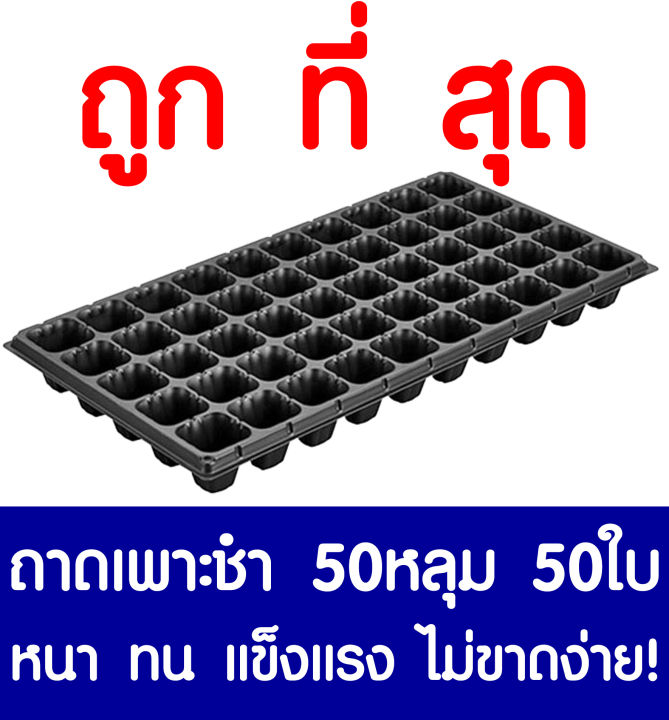 ถาดเพาะกล้า-ถาดเพาะชำ-50หลุม-50แผ่น-ถาดเพาะต้นกล้า-ถาดเพาะกล้า-ถาดเพาะต้นอ่อน-ถาดเพาะเมล็ด-ถาดเพาะข้าว-ถาดเพาะปลูกผัก-ปลูกต้นไม้