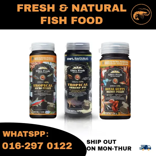 AZOO Fresh & Nature Fish Pellet Fish Food 100 AllNature🐟Guppy