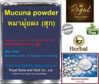 100% #Pure Mucuna Pruriens Extract with L-Dopa Powder Natural Dopamine Brain and Mood Support Brain Improved Parkinsons syndrom, หมามุ่ยผง (สุก) 200 Grams