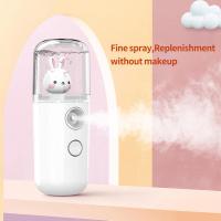 สัตว์เลี้ยงน่ารัก Creative Hydrating Instrument Mini Hydrating Instrument เครื่องพ่นสารเคมีแบบพกพาขนาดเล็กแบบพกพา Beauty Humidifier