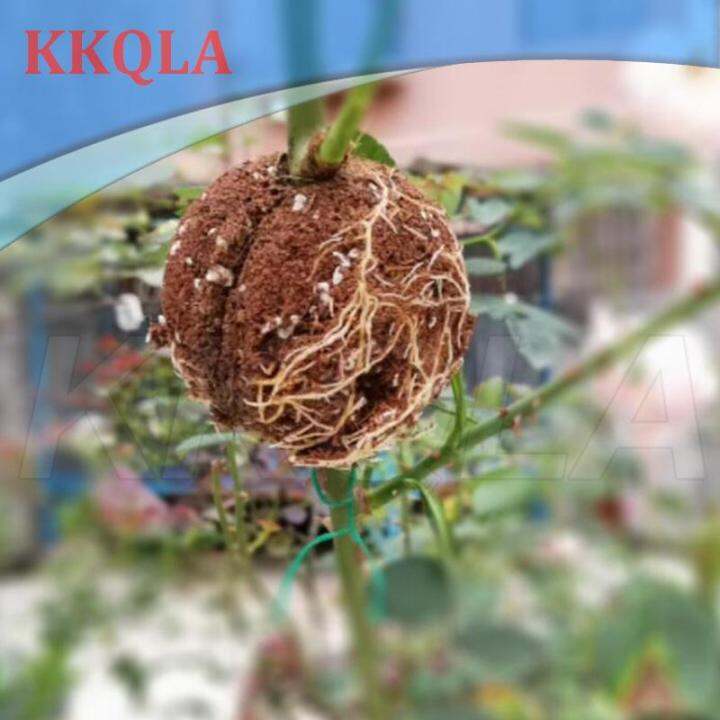 qkkqla-new-5cm-plant-rooting-ball-grafting-rooting-case-fruit-tree-flower-branch-growing-box-breeding-container-nursery-grow-root-pots