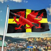 ZXZ custom flag Saint Davids Day Flag High Quality 3*5ft Polyester Welsh National Flag 90x150cm United Kingdom union flag