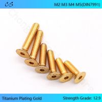 10Pcs Grade 12.9 Countersunk Screw Flat Head Hex Hexagon Socket Bolts Titanium Plating Gold DIN7991 M2 M2.5 M3 M4 Length 4 25mm