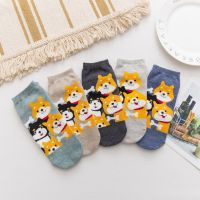 5 PairsPack Women Ankle Socks Cartoon Dogs Shiba Inu Pattern Cute Funny Japanese Style Design Girls Gift