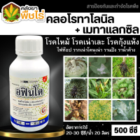 ? อฟินโต (คลอโรทาโลนิล+เมทาเเลกซิล-เอ็ม) 500ซีซี ป้องกันรักษาโรคราน้ำค้าง ใบจุด ใบขีด ใบไหม้ในมันฝรั่ง